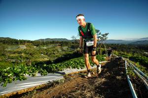 BIB: 9044
                            <button type="button" onclick="openModal(19113049)" class="btn btn-primary btn-sm float-right btn-popup" data-toggle="modal" data-target=".modal-high-quality">
                        <i class="fas fa-shopping-cart"></i> Add to Cart
                    </button>
                                            <button type="button" onclick="isThisMe(19113049, true)" class="btn btn-success btn-sm float-right btn-popup btn-isme hidden" data-toggle="tooltip" data-placement="bottom" title="นี่คือรูปของคุณใช่ไหม คลิกที่นี่เพื่อเอาเข้าอัลบั้ม">
                        <i class="fas fa-plus"></i> Add to album
                    </button>
                    <button type="button" onclick="isThisMe(19113049, false)" class="btn btn-warning btn-sm float-right btn-popup btn-isnotme hidden">
                        <i class="fas fa-ban"></i> Remove from album
                    </button>